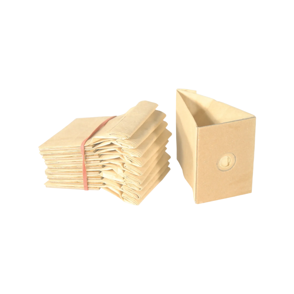 Hadewe Paper Dust Bags - Pack Of 5 – TAFS Products
